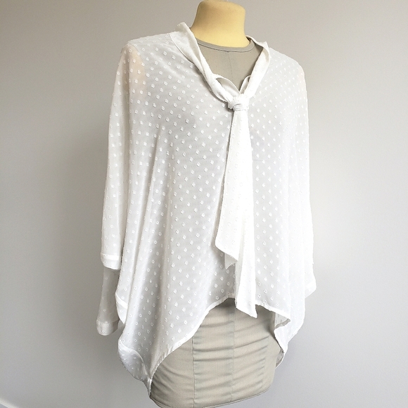 H&M oversized button up sheer blouse - Picture 1 of 9